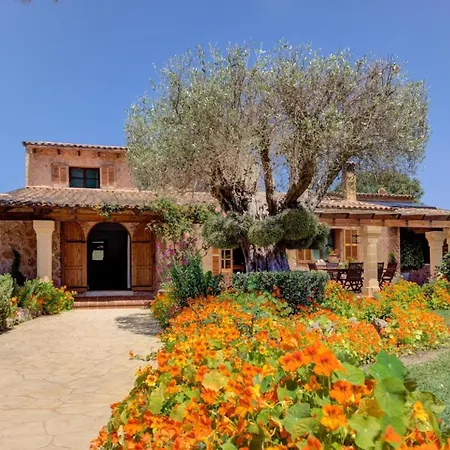 Mit Privatpool Fuer 6 Personen Ca 300 Qm In Alcdia, Mallorca Nordkueste Von Mallorca 別荘 アルクディア